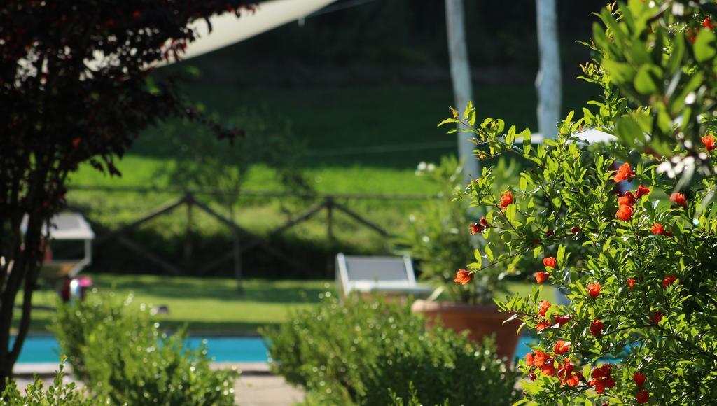 L'Ariete Guest House Montone  Eksteriør bilde